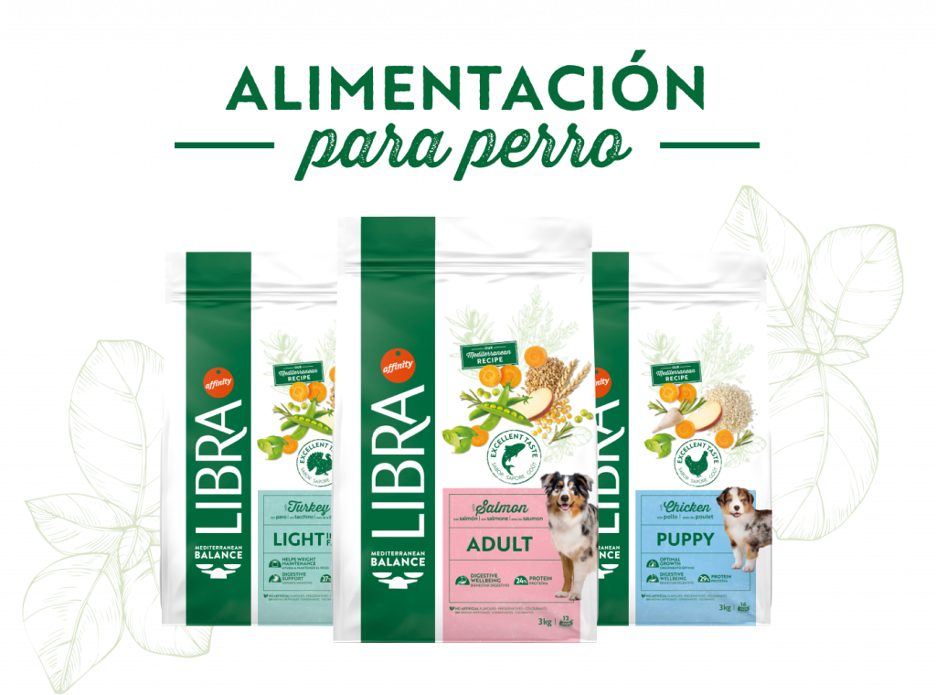 Services es bodegon perro desktop