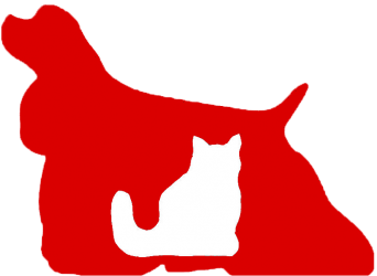 Logo Png