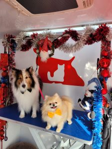 Perros conjuntos decoración navidad a domicilio pelqueria canina