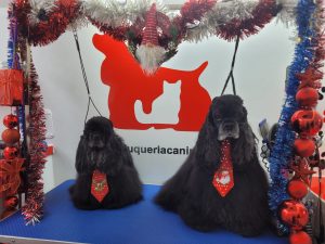 WhatsApp Image 2026 03 22 At 21.43.20 8 300x225