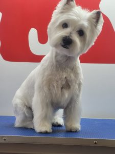 whatsapp image 2026 03 22 at 21.43.21 (1)